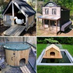 Domestic Duck House Plans Free