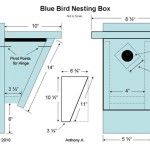 Free Printable Bluebird House Plans