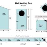 Screech Owl House Plans